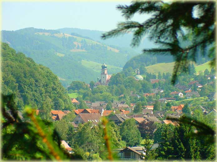 Blick vom Hausber Köpfle in das Zentum von Münstertal